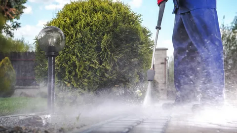 Professional comparing pressure washing vs soft washing techniques on a paved garden path.